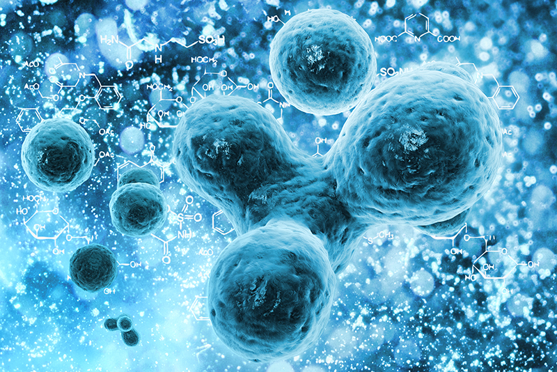 Course Image MICROBIOLOGIA E INMUNOLOGIA