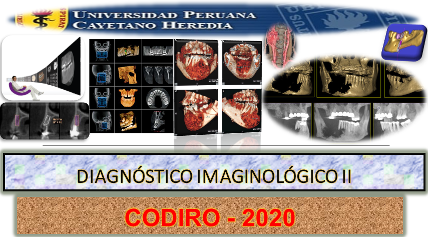 Course Image DIAGNOSTICO IMAGINOLOGICO II